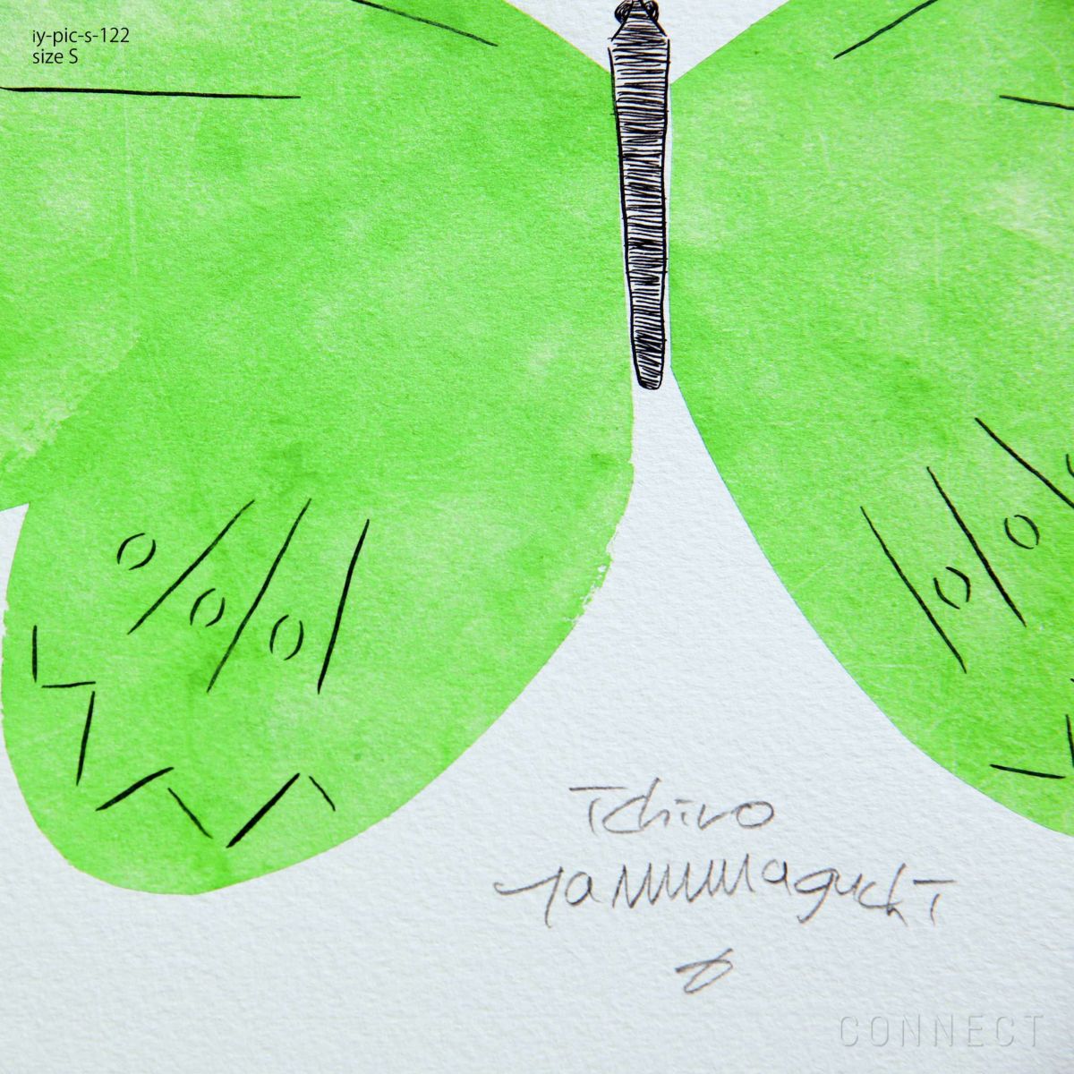 山口一郎 / Sサイズ / 蝶 / iy-pic-s-122