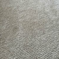 【アウトレット】KASTHALL（カスタール） / SPIRE（スピーレ） / KALK 881（170×240cm） / ラグ