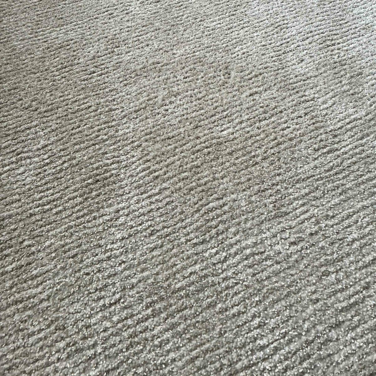 【アウトレット】KASTHALL（カスタール） / SPIRE（スピーレ） / KALK 881（170×240cm） / ラグ